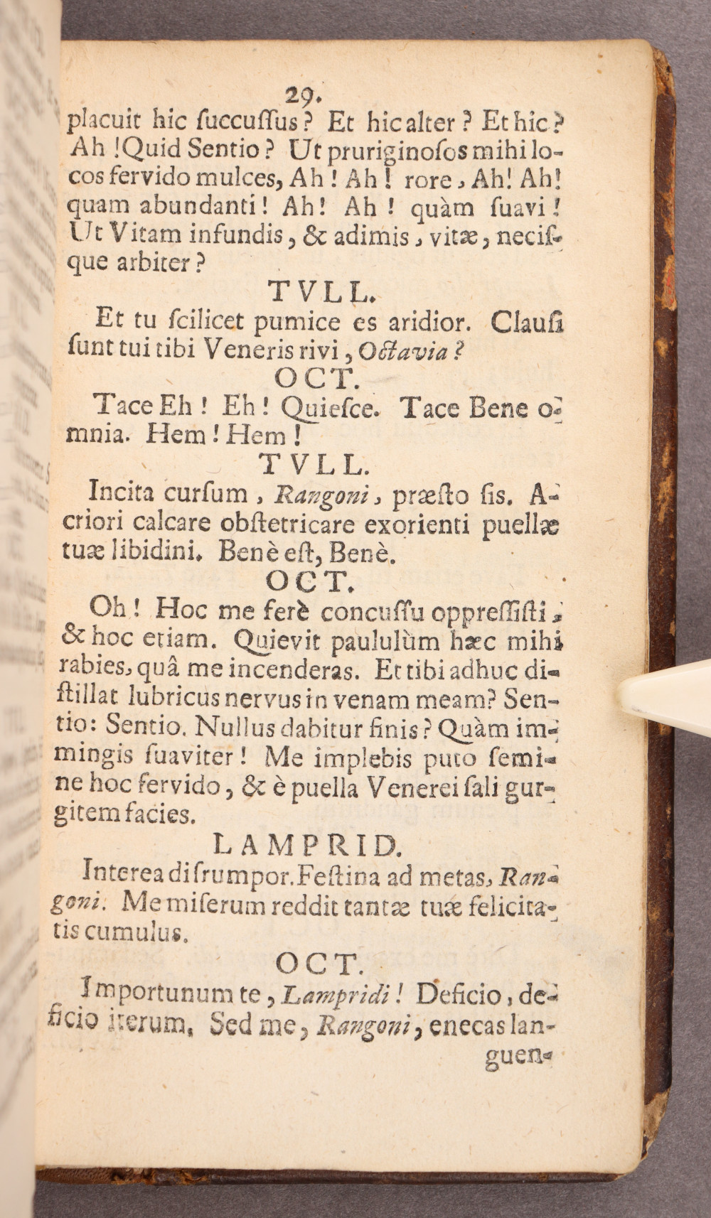 Page 29